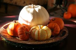 Pumpkins photo by John-Morgan